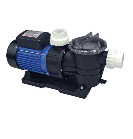 WhatsApp Image 2025-02-12 at 5.31.56 PM